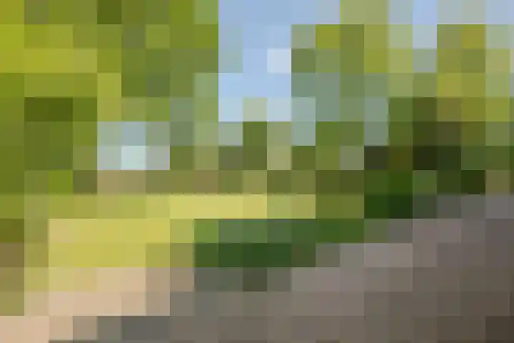 Laag Spul 9 Hilvarenbeek thumbnail 46