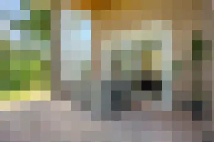 Laag Spul 9 Hilvarenbeek thumbnail 47