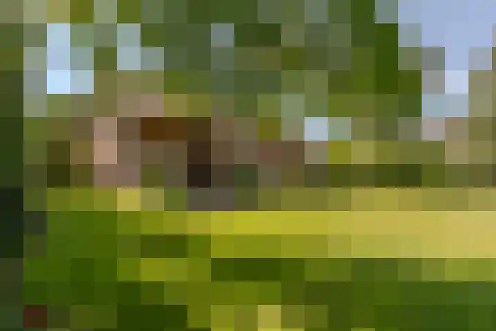 Laag Spul 9 Hilvarenbeek thumbnail 48