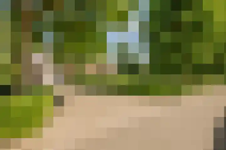 Laag Spul 9 Hilvarenbeek thumbnail 5