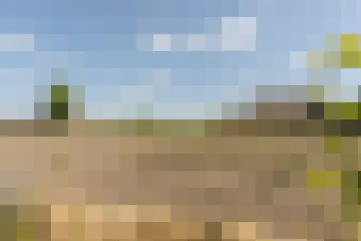 Laag Spul 9 Hilvarenbeek thumbnail 50