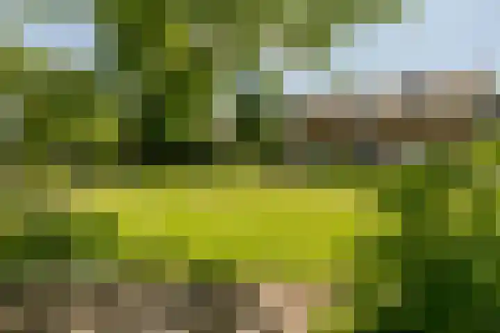 Laag Spul 9 Hilvarenbeek thumbnail 51