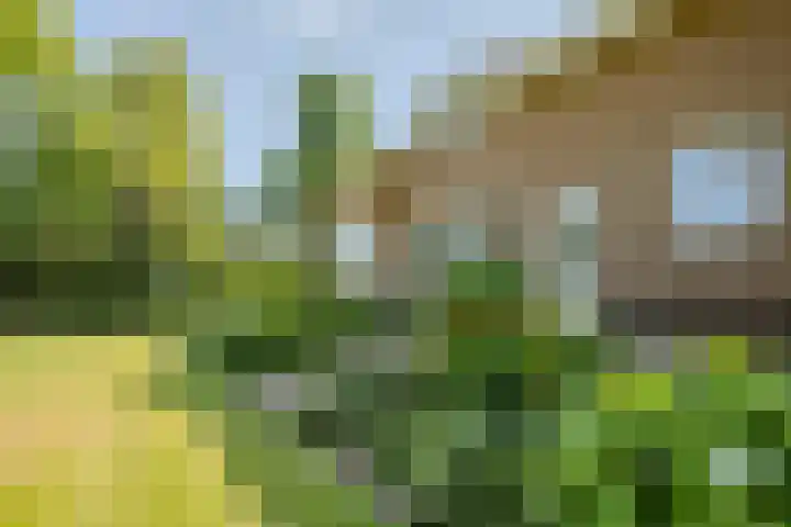 Laag Spul 9 Hilvarenbeek thumbnail 52