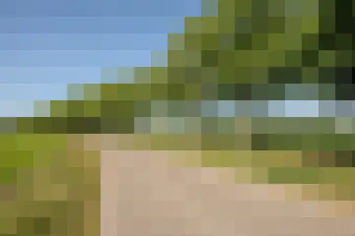 Laag Spul 9 Hilvarenbeek thumbnail 53