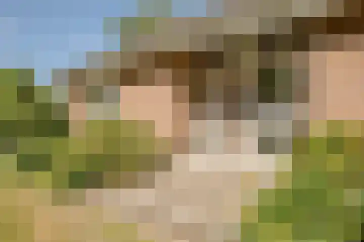 Laag Spul 9 Hilvarenbeek thumbnail 7