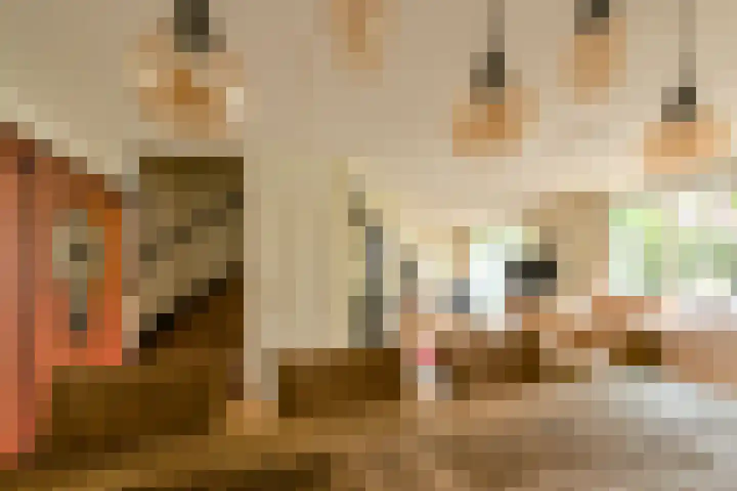Laag Zand 17 Breda thumbnail 24