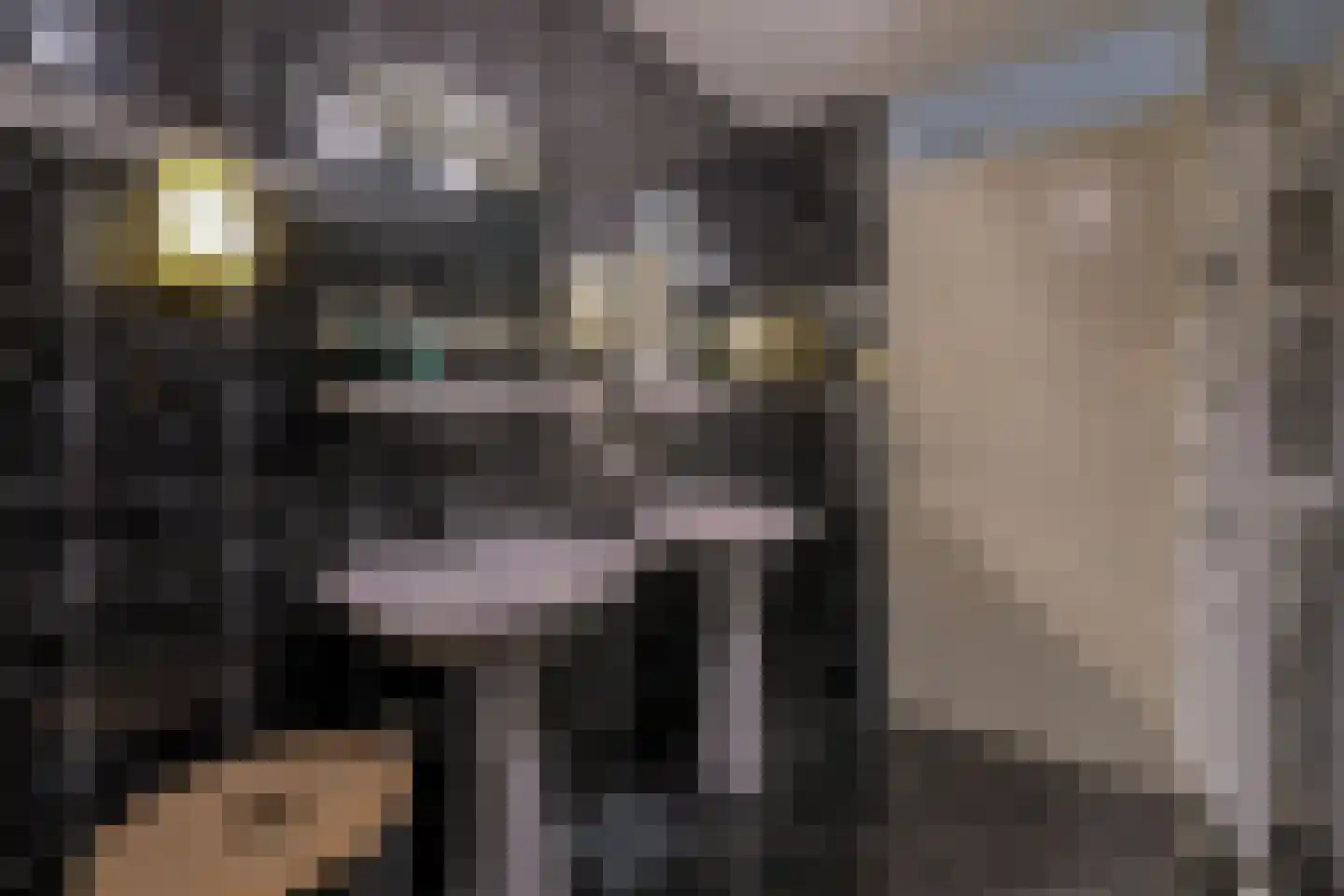 Laag Zand 17 Breda thumbnail 31