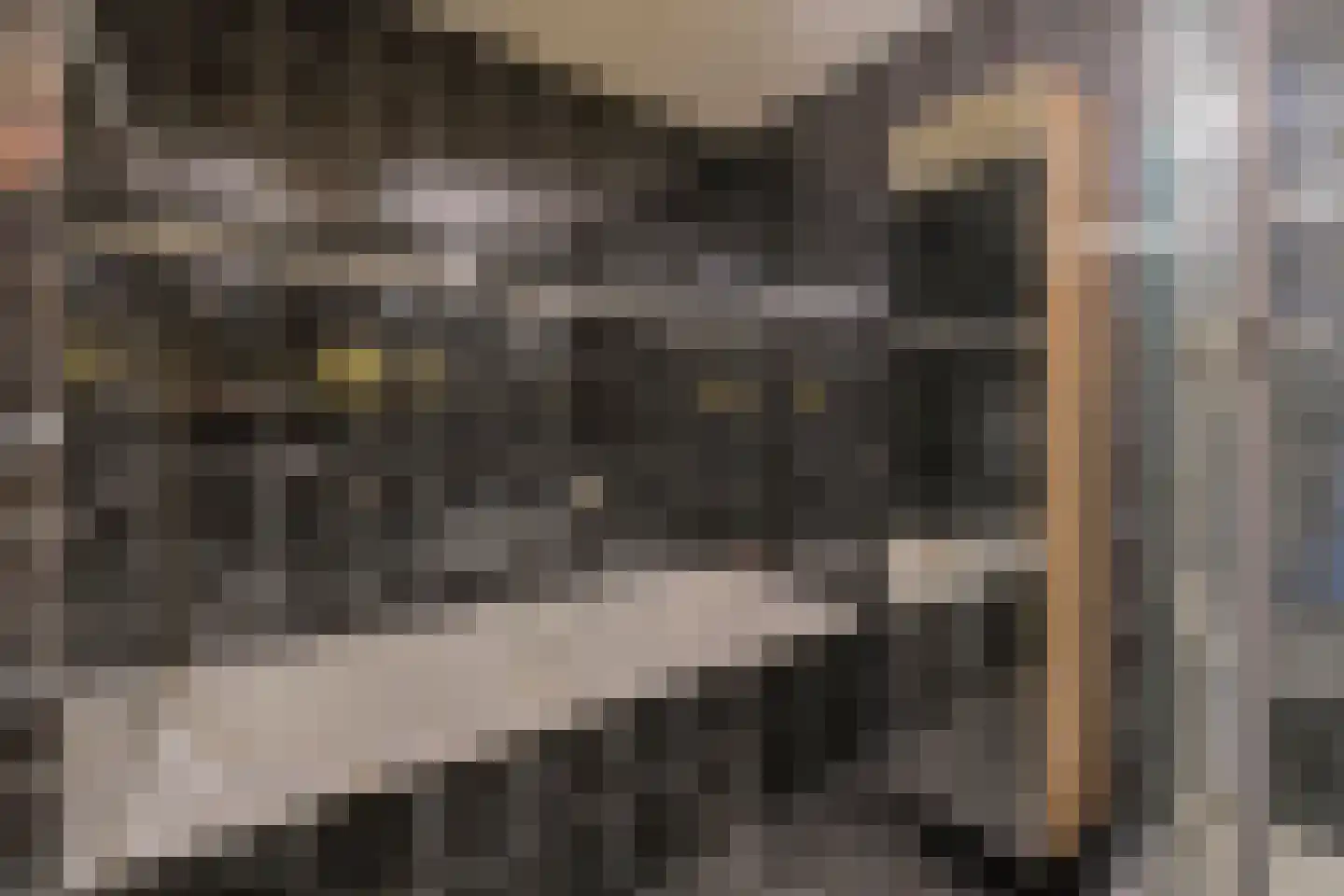 Laag Zand 17 Breda thumbnail 33