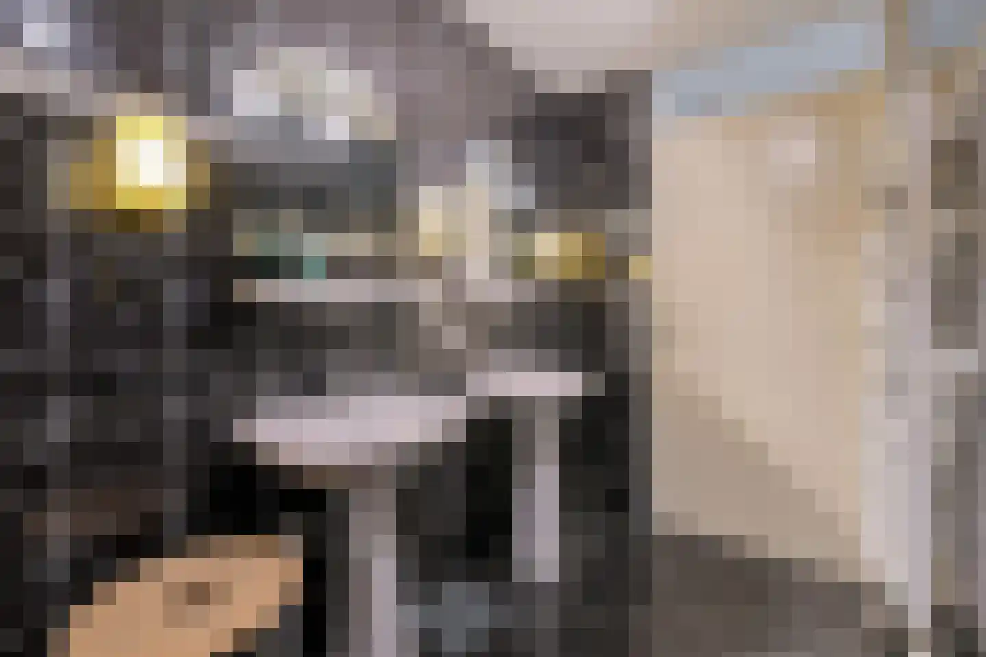 Laag Zand 17 Breda thumbnail 34
