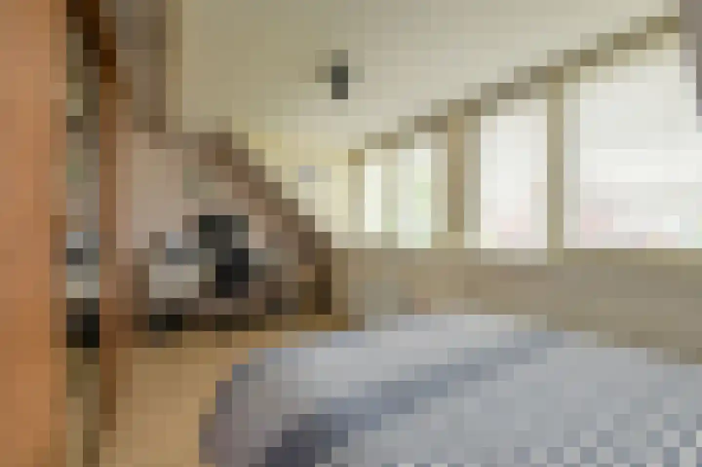 Laag Zand 17 Breda thumbnail 37