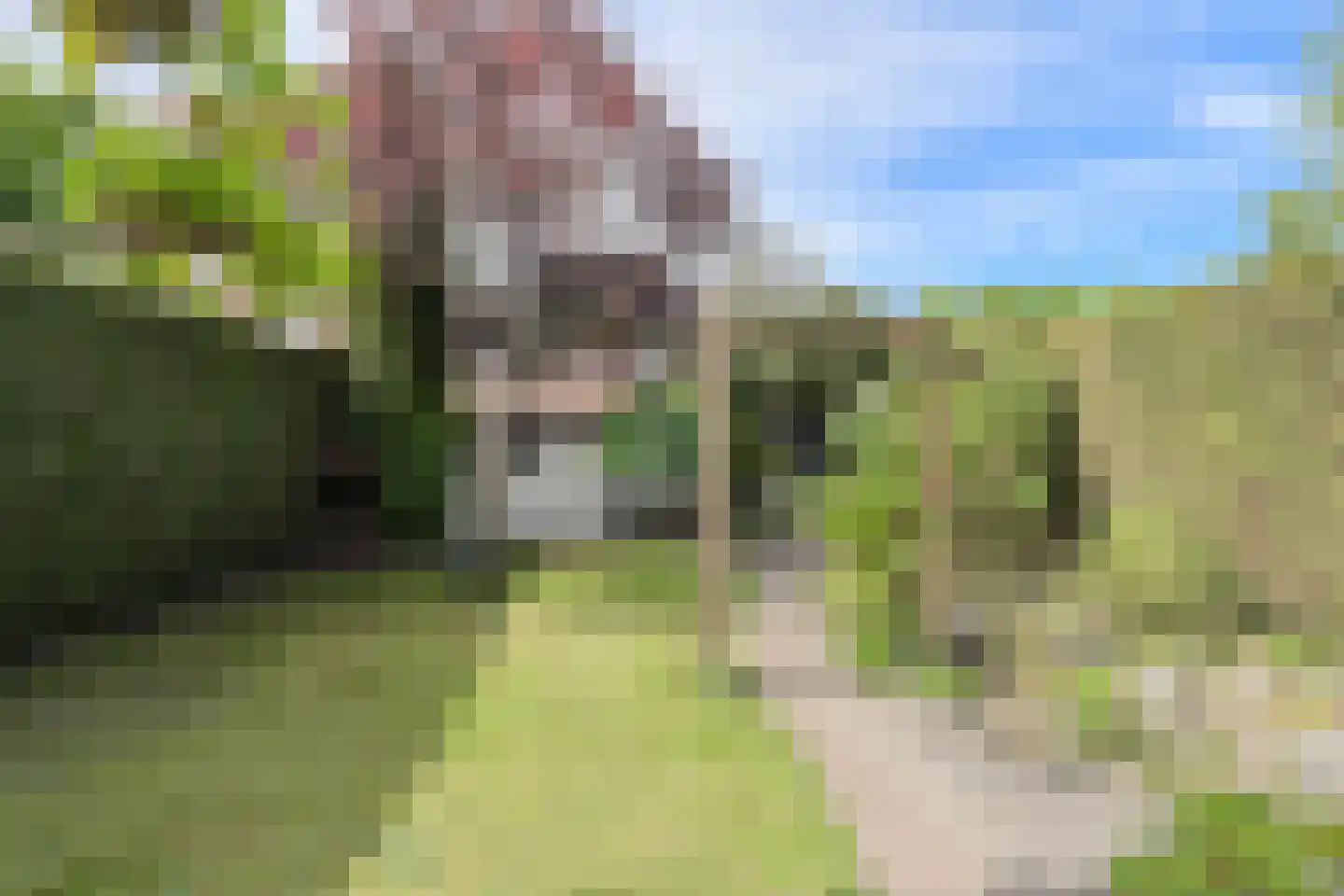 Laag Zand 17 Breda thumbnail 48