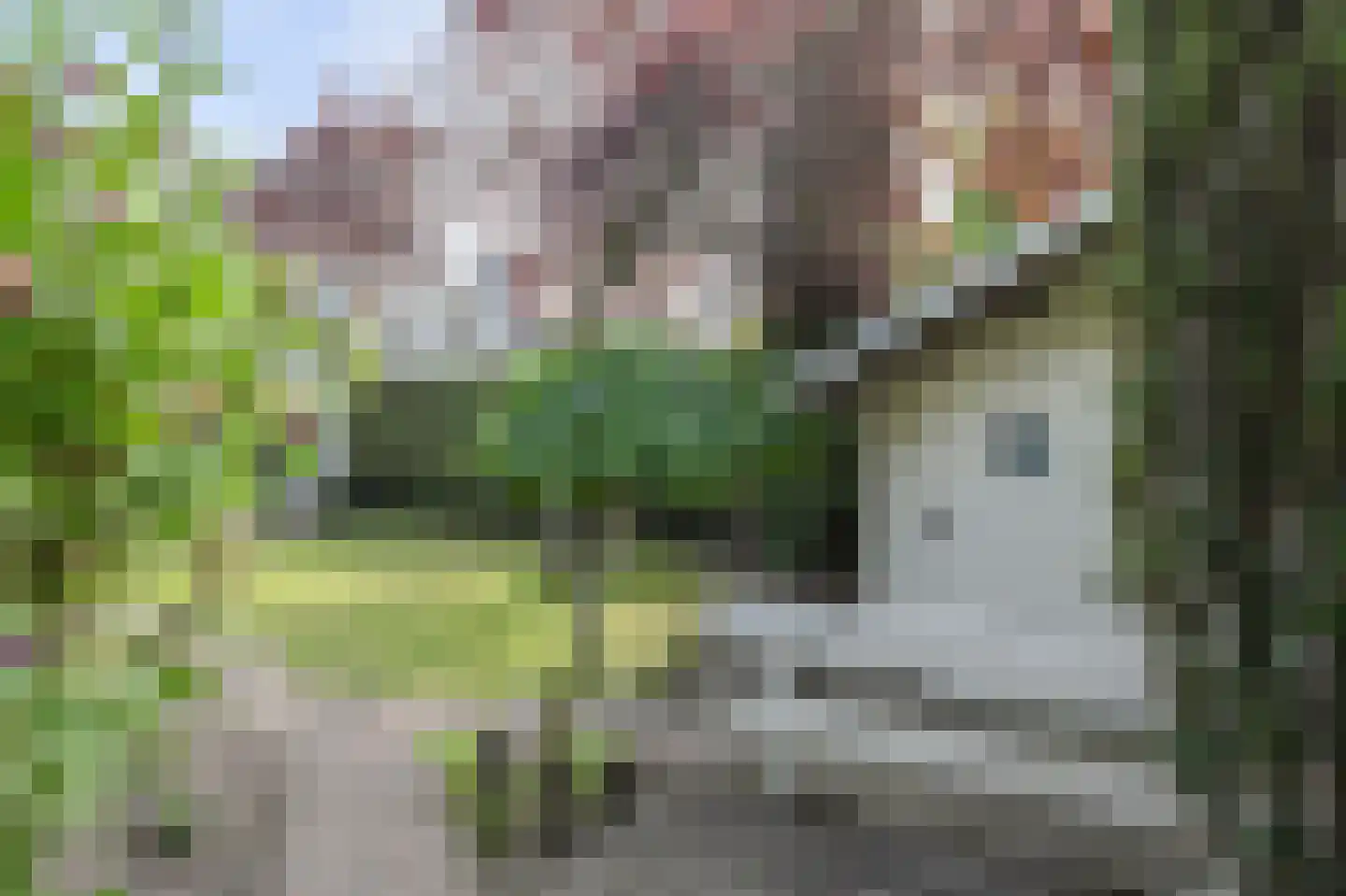 Laag Zand 17 Breda thumbnail 50