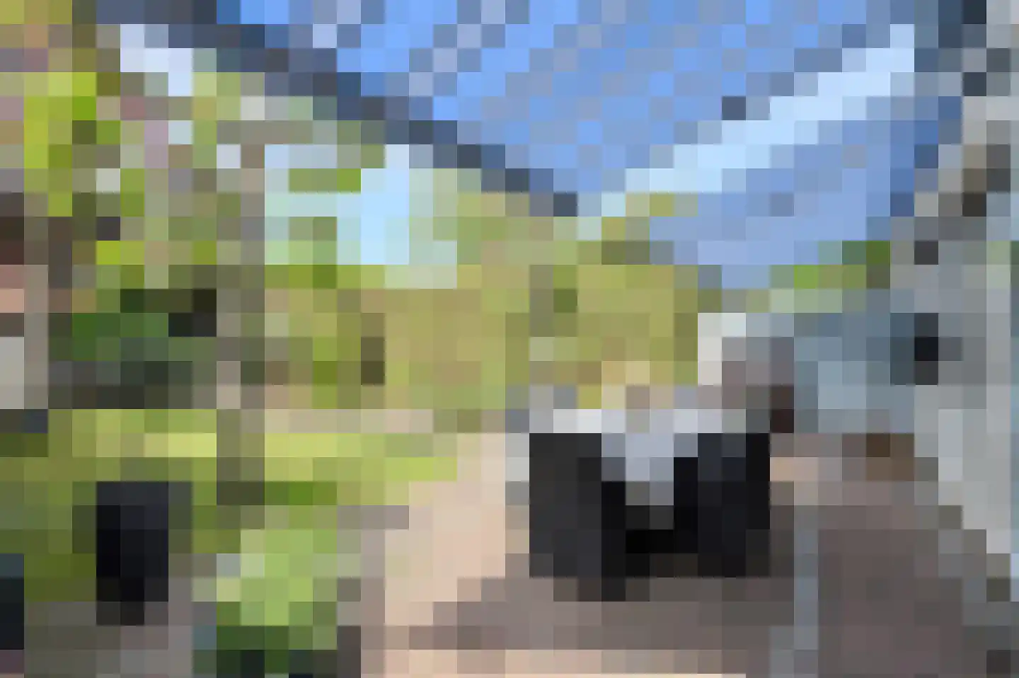 Laag Zand 17 Breda thumbnail 6