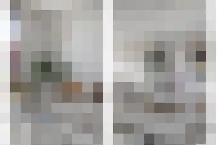 Laagakker 43 Sprundel thumbnail 10