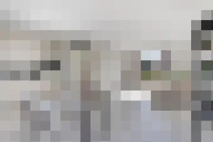 Laagakker 43 Sprundel thumbnail 11