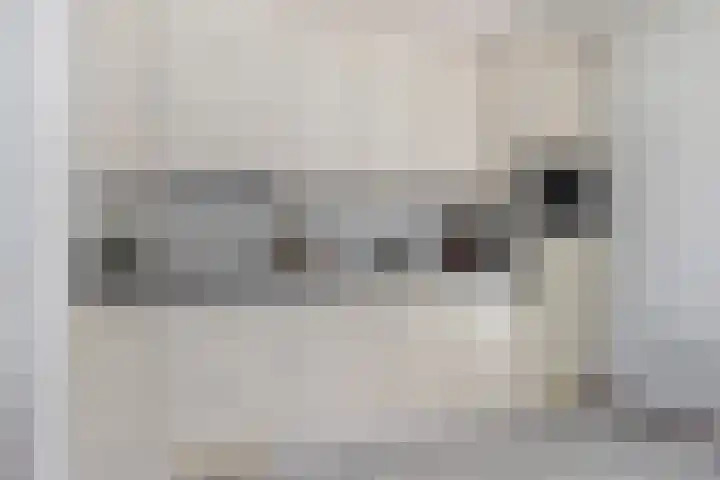 Laagakker 43 Sprundel thumbnail 13