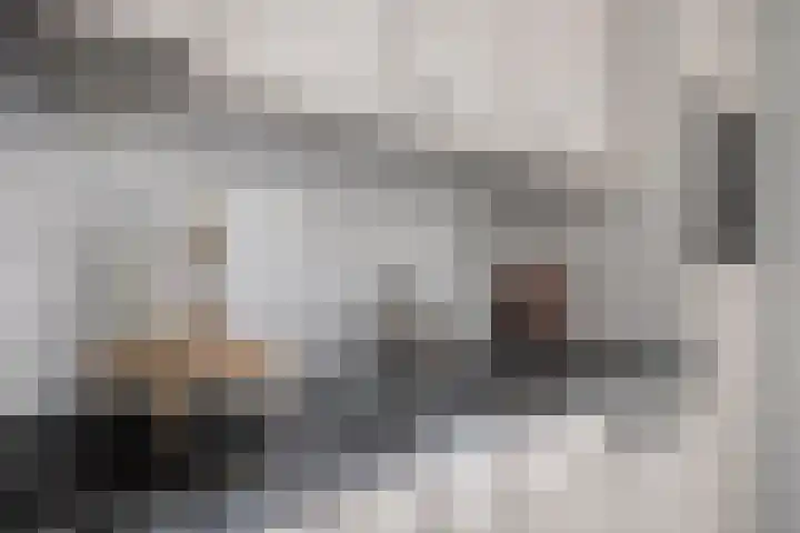 Laagakker 43 Sprundel thumbnail 15
