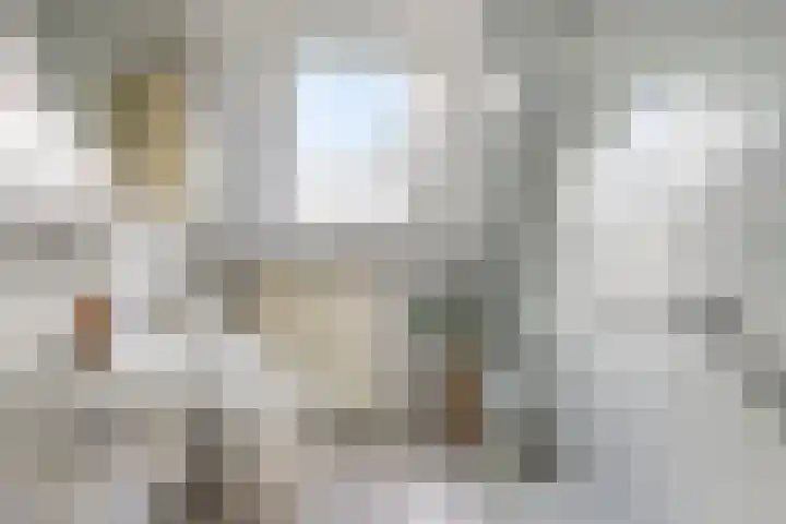 Laagakker 43 Sprundel thumbnail 19