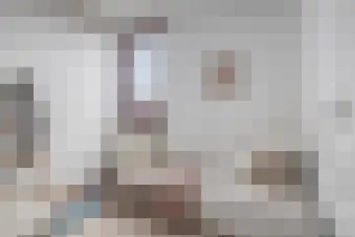 Laagakker 43 Sprundel thumbnail 24