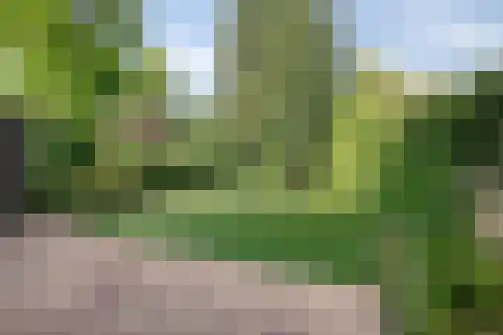 Laagakker 43 Sprundel thumbnail 27