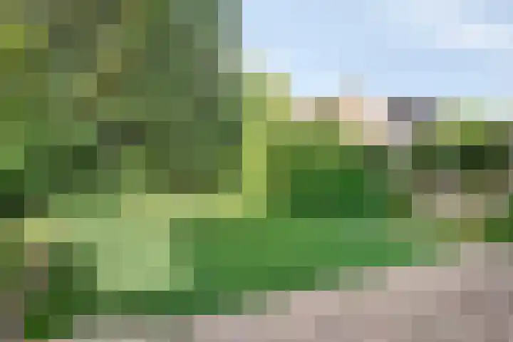 Laagakker 43 Sprundel thumbnail 28