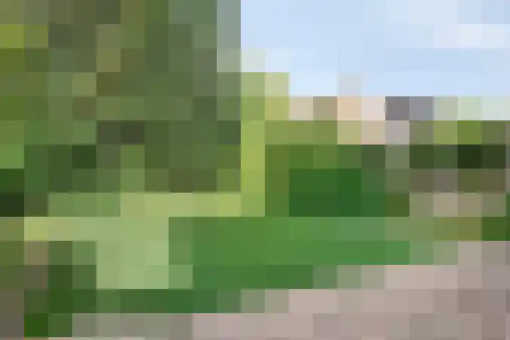 Laagakker 43 Sprundel thumbnail 4