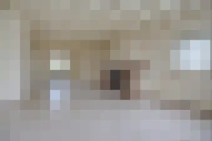 Laagakker 62 Sprundel foto 2