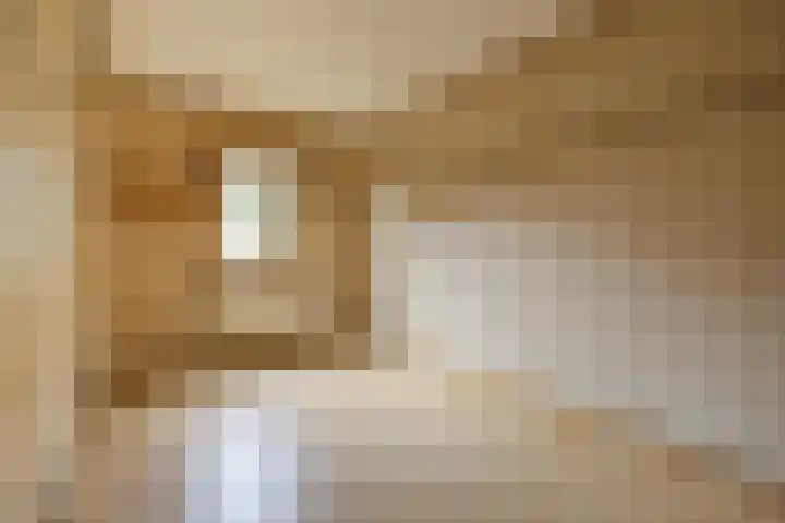 Laagakker 62 Sprundel thumbnail 20