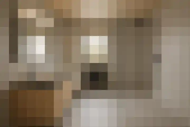 Laagakker 62 Sprundel thumbnail 25