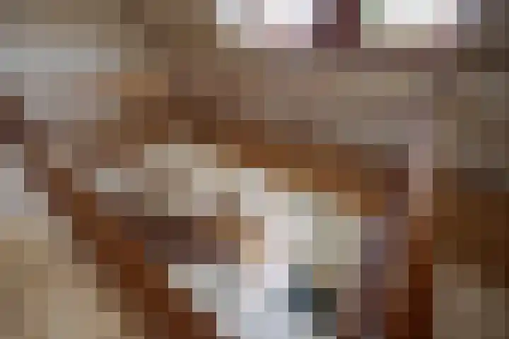 Laagakker 62 Sprundel thumbnail 27