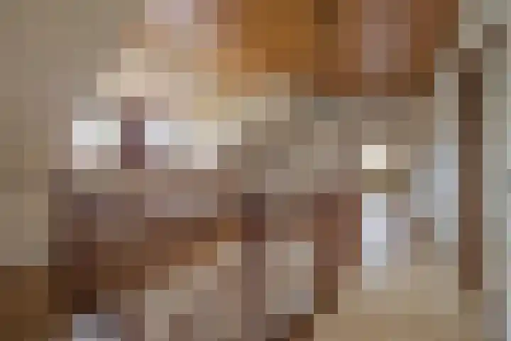 Laagakker 62 Sprundel thumbnail 28