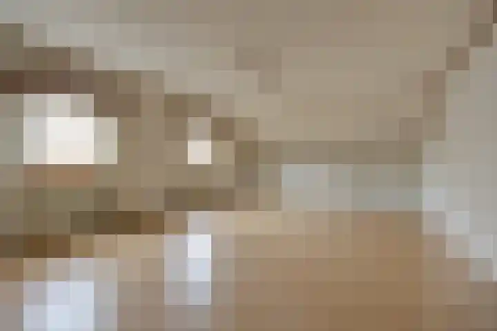 Laagakker 62 Sprundel thumbnail 29