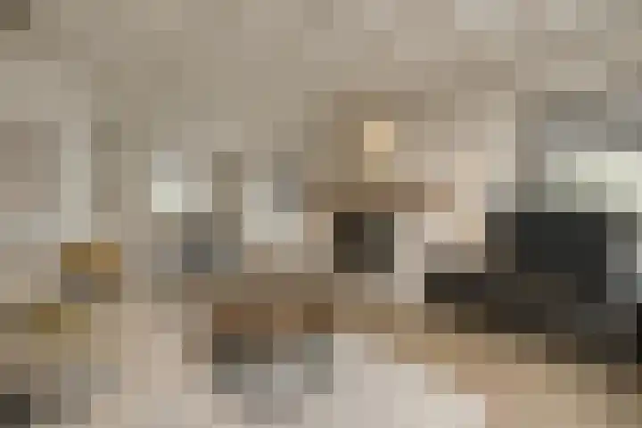 Laagakker 62 Sprundel foto 3