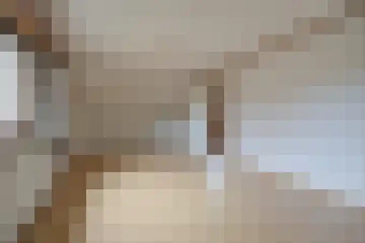 Laagakker 62 Sprundel thumbnail 33
