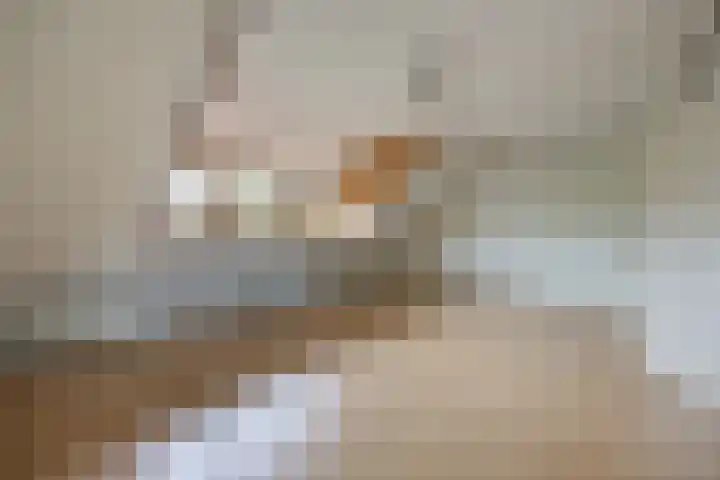 Laagakker 62 Sprundel thumbnail 35
