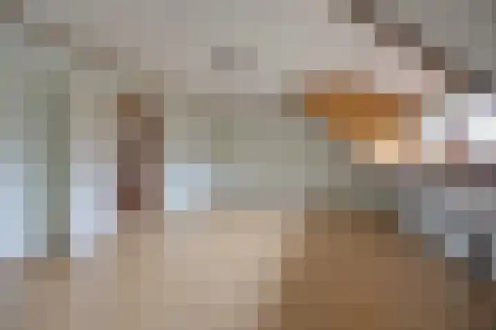 Laagakker 62 Sprundel thumbnail 36