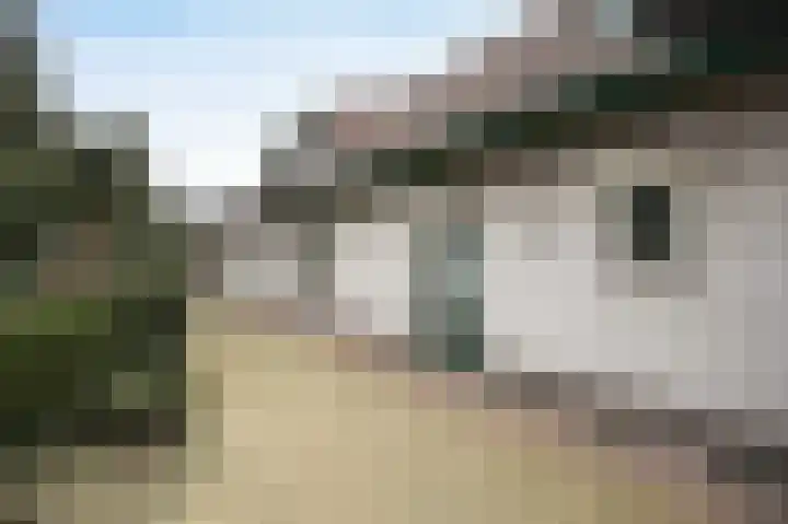 Laagakker 62 Sprundel thumbnail 37