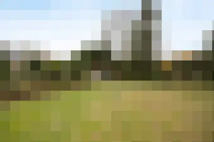 Laagakker 62 Sprundel thumbnail 38