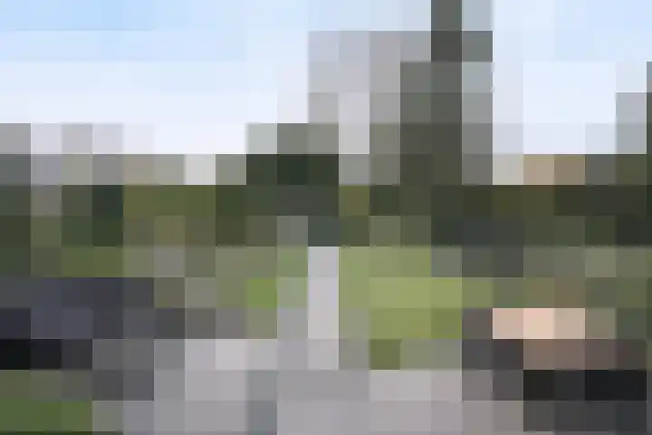 Laagakker 62 Sprundel thumbnail 39