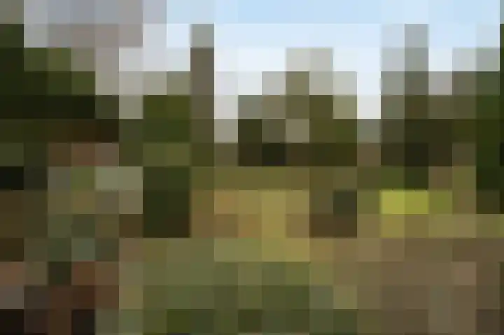 Laagakker 62 Sprundel thumbnail 40