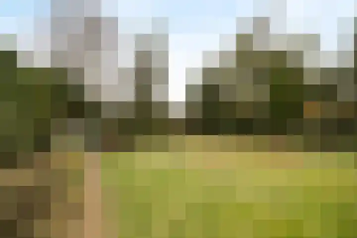 Laagakker 62 Sprundel thumbnail 41