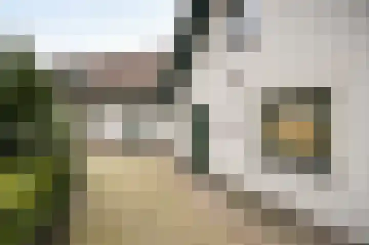 Laagakker 62 Sprundel thumbnail 43