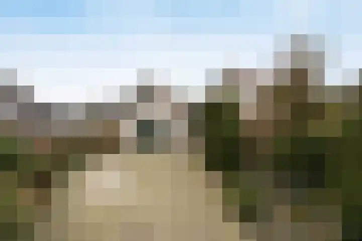 Laagakker 62 Sprundel thumbnail 46