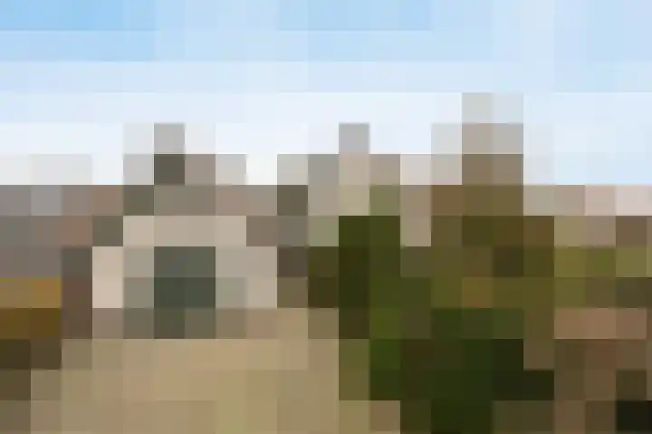 Laagakker 62 Sprundel thumbnail 47