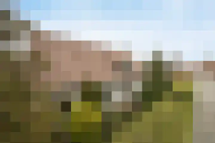 Laagakker 62 Sprundel thumbnail 48
