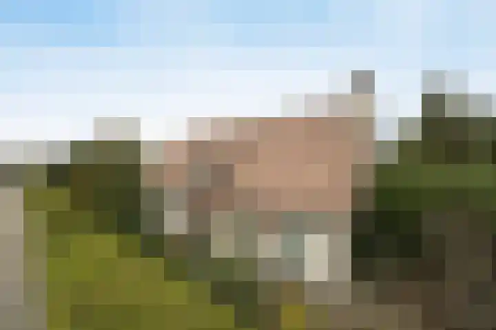 Laagakker 62 Sprundel thumbnail 49