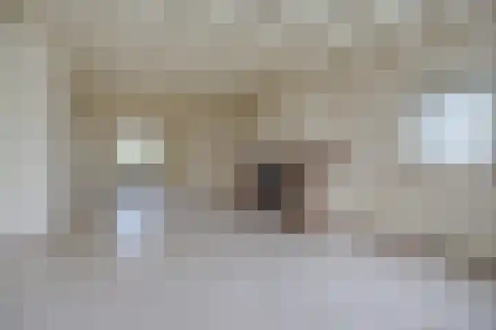 Laagakker 62 Sprundel thumbnail 8