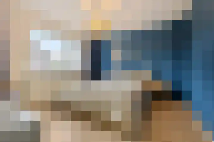 Laagakkerstraat 23 's-Hertogenbosch thumbnail 18