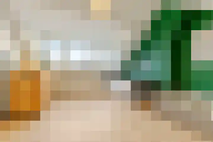 Laagakkerstraat 23 's-Hertogenbosch thumbnail 26