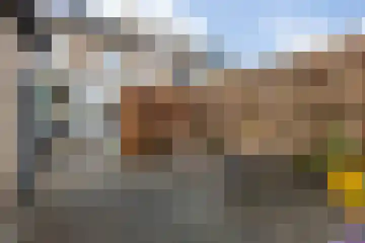 Laagakkerstraat 23 's-Hertogenbosch thumbnail 30